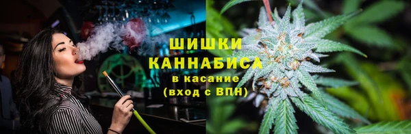 Альфа ПВП Ельня