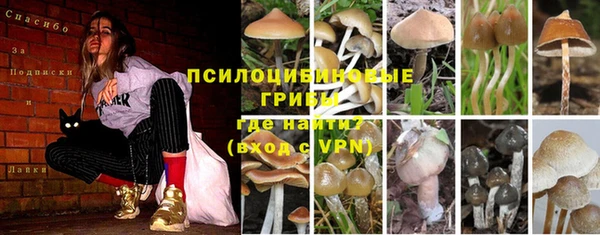 2c-b Елизово