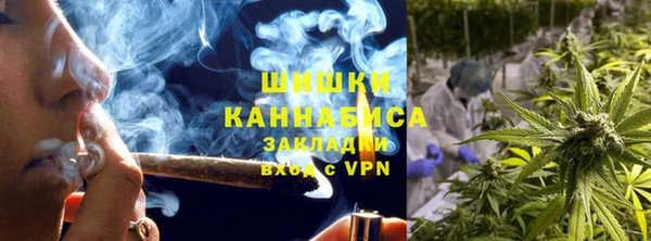 Альфа ПВП Ельня