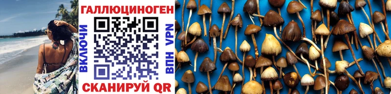 Купить закладки  Кировск  Псилоцибиновые грибы мухоморы 